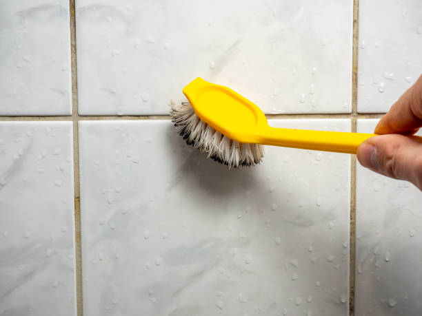 Best Mold Remediation  in Bensley, VA