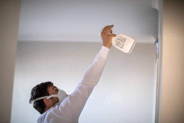 Best Best Mold Removal Companies  in Bensley, VA