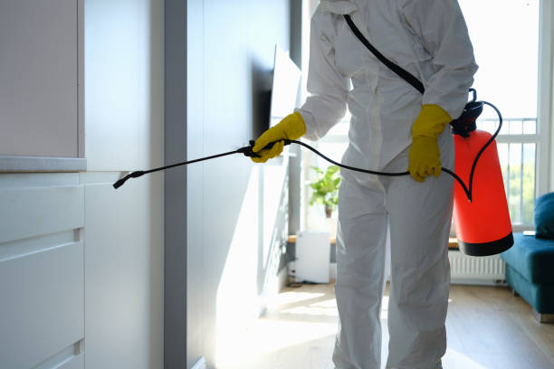 Best Residential Mold Removal  in Bensley, VA