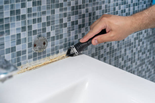 Best Water Damage Restoration  in Bensley, VA