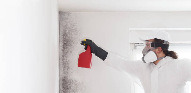 Crawl Space Mold Removal in Bensley, VA