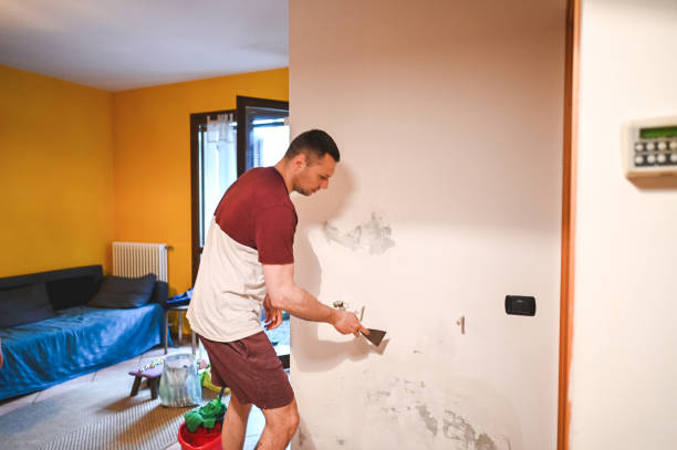 Office Mold Removal Services in Bensley, VA